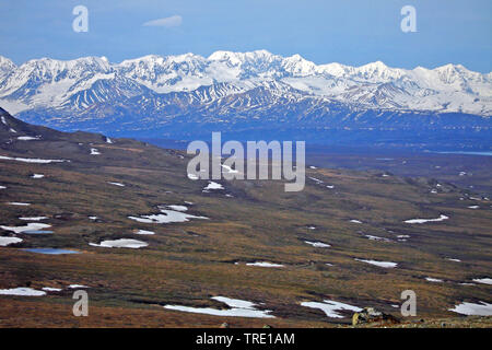 Paesaggio presso il Parco Nazionale di Denali, STATI UNITI D'AMERICA, Alaska Denali Nationalpark Foto Stock