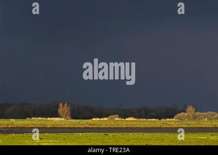 Polder Langenbroek in tempesta umore, Paesi Bassi, South Holland, Alblasserwaard Foto Stock