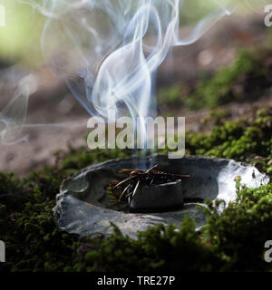 Il fumo e il fumo con ginepro, albero gum e carbone fumante, Germania Foto Stock