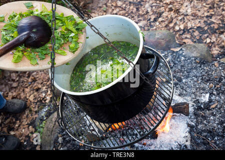 Zuppa di erbe fuochi, Germania Foto Stock