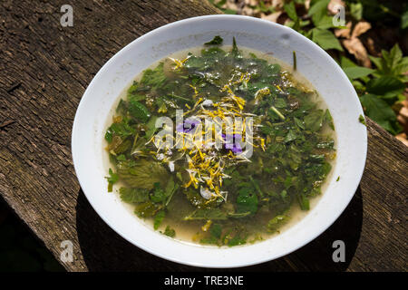 Zuppa di erbe fuochi, Germania Foto Stock