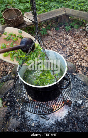 Zuppa di erbe fuochi, Germania Foto Stock