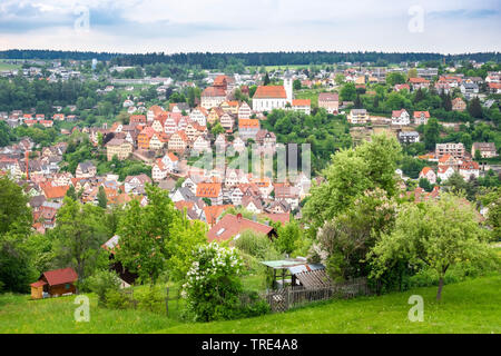 Vista della città histrorical di Altensteig nella Foresta Nera, Germania, Baden-Wuerttemberg, Foresta Nera, Altensteig Foto Stock