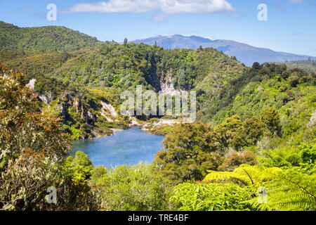 Vista di un lago vulcanico a Vulcanica Waimangu Rift Valley in Nuova Zelanda, Nuova Zelanda, Isola Settentrionale, Waimangu Foto Stock