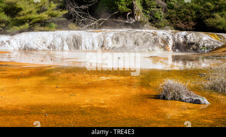 Vista di un paesaggio vulcanico a Vulcanica Waimangu Rift Valley in Nuova Zelanda, Nuova Zelanda, Isola Settentrionale, Waimangu Foto Stock