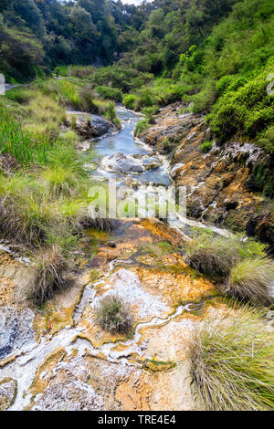 Vista di un cratere vulcanico creek a Vulcanica Waimangu Rift Valley in Nuova Zelanda, Nuova Zelanda, Waimangu Foto Stock