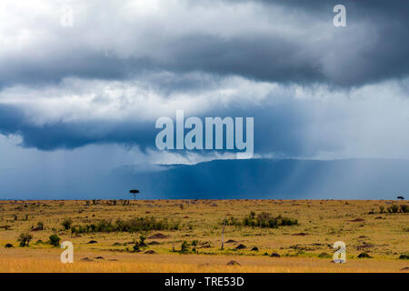 Tempesta su Mara Bush Camp, Kenia Kenia Masai Mara National Park Foto Stock