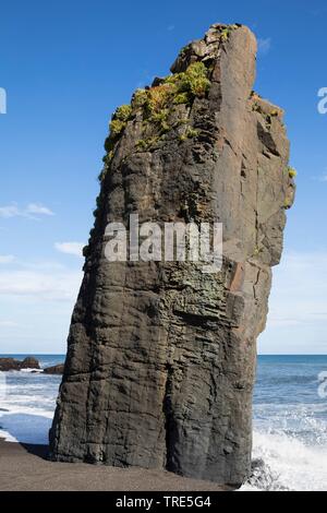 Presso la spiaggia nera vicino Laekjavik nella parte orientale dell Islanda Islanda Foto Stock
