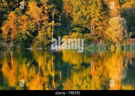 Lago Burgaeschisee in autunno, Svizzera, Solothurn Foto Stock