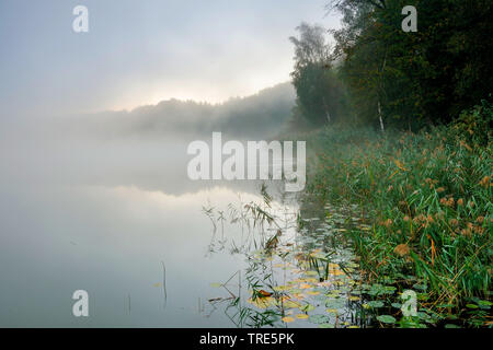 Lago Burgaeschisee nella nebbia, Svizzera, Solothurn Foto Stock