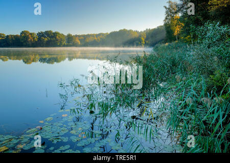 Lago Burgaeschisee , svizzera, Solothurn Foto Stock