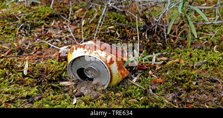 Rusty tin può nelle dune, Paesi Bassi Foto Stock