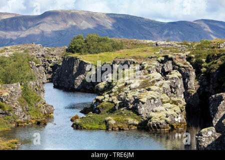 Silfra fessura, divergenti confine tettonica a Thingvellir Parco Nazionale di Islanda, Islanda, Thingvellir National Park Foto Stock