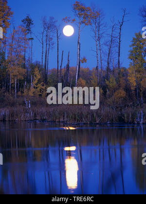 Il lago al sorgere della luna , Germania Foto Stock