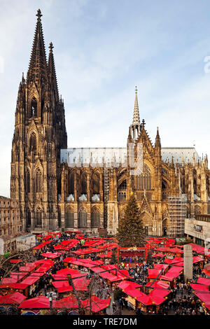 Mercato di Natale accanto alla Cattedrale di Colonia, in Germania, in Renania settentrionale-Vestfalia, Colonia Foto Stock