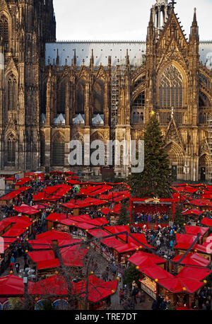 Mercato di Natale accanto alla Cattedrale di Colonia, in Germania, in Renania settentrionale-Vestfalia, Colonia Foto Stock