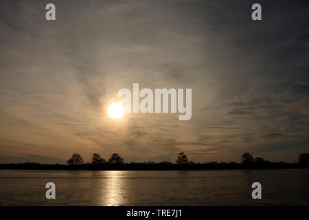 L inverno al Ankeveense plassen, Paesi Bassi Foto Stock