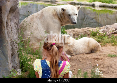 Orso polare (Ursus maritimus), ragazza guardando un bearess con cub in uno zoo Foto Stock