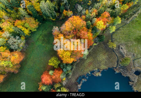 Lago la Zuercher bernese, drone foto, Svizzera Foto Stock