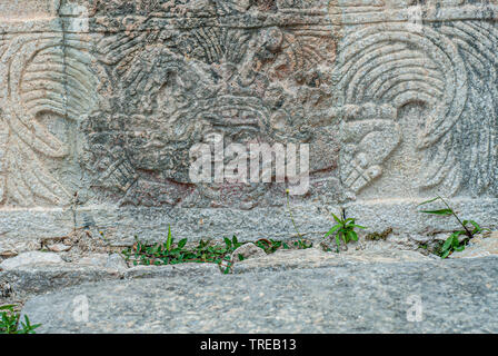 Incisione in pietra raffigurante un shiaman Maya, nella zona archeologica di Chichen Itza, sulla penisola dello Yucatan Foto Stock