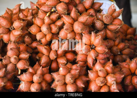 Salak Palm o rinunciare o snake frutto per la vendita nel mercato della frutta / Salacca zalacca Foto Stock