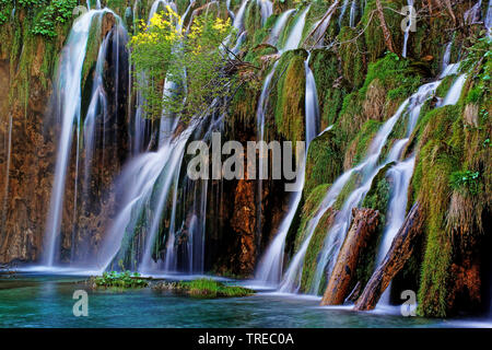 Cascate del Parco Nazionale dei Laghi di Plitvice, Croazia, il Parco Nazionale dei Laghi di Plitvice Foto Stock