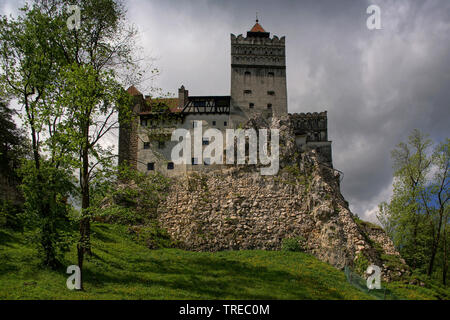 Il castello di Draculas Bran in Romania, Romania, Brasov Foto Stock