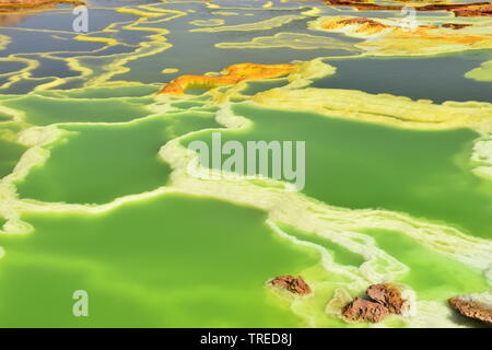 Sorgenti di zolfo colorate nella depressione di danakil Foto Stock