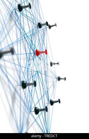 Perni collegati con lo spago per legare di polipropilene blu, simbolo di una struttura di rete Foto Stock