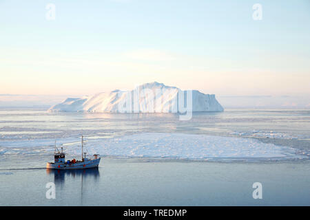 Fresa di pesca nella parte anteriore di un iceberg, Groenlandia, Ilulissat Foto Stock