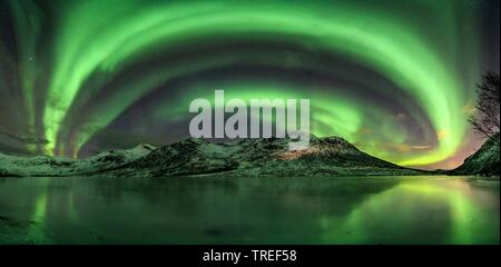 Luci del nord oltre le montagne norvegesi, Norvegia Foto Stock