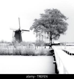 Il mulino a vento di Kinderdijk in inverno, Paesi Bassi, Kinderdijk Foto Stock