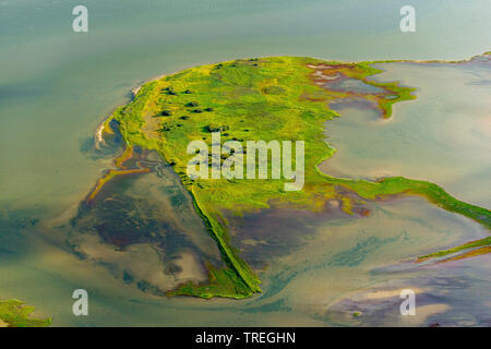 Schleswig-Holsteinisches Nationalpark Wattenmeer, fotografia aerea, Germania, Schleswig-Holstein, Schleswig-Holstein il Wadden Sea National Park, Nordfriesisches Wattenmeer Foto Stock