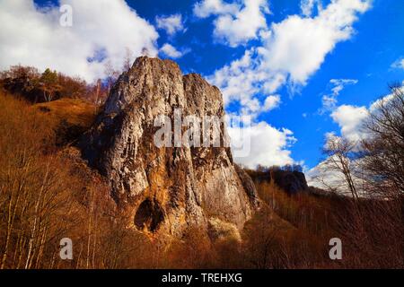 La formazione di calcare Pater und nonne e grotta Gruermannshoehle, in Germania, in Renania settentrionale-Vestfalia, Sauerland, Iserlohn Foto Stock