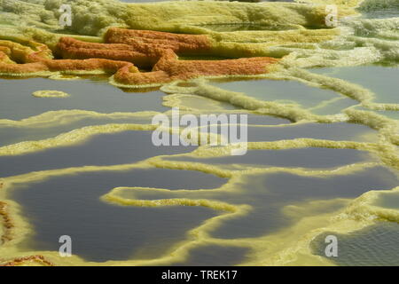 Sorgenti di zolfo colorate nella depressione di danakil Foto Stock