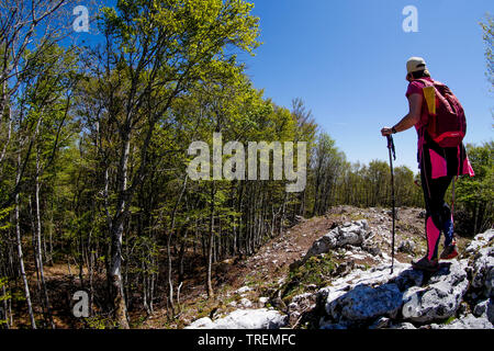 Escursioni in montagna nella foresta che copre il Plateau du Retord, ain, Francia Foto Stock