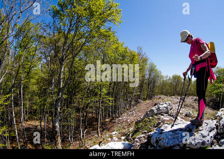 Escursioni in montagna nella foresta che copre il Plateau du Retord, ain, Francia Foto Stock