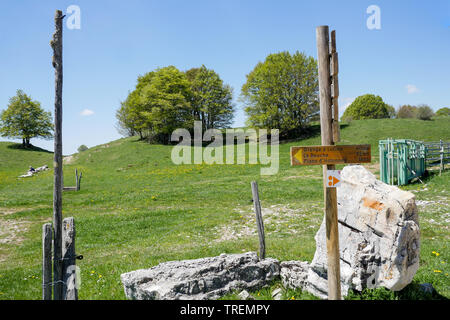 Azienda agricola del Retord, Plateau du Retord, Bugey, ain, Francia Foto Stock