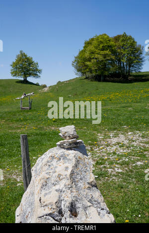 Plateau du Retord, Bugey, ain, Francia Foto Stock