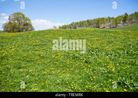 Plateau du Retord, Bugey, ain, Francia Foto Stock