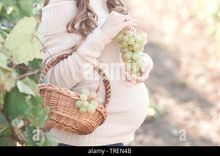 Donna incinta cestello di contenimento e uva indossando beige felpa lavorata a maglia all'esterno. Tempo di raccolta. La stagione autunnale. 20s. Foto Stock