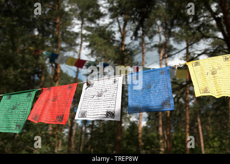 Colorati bandiere di preghiera (lungta/darcho) della filosofia buddista sulla foresta backg. Kunsangar nord, Pavlovsky Posad, Regione di Mosca / Russia - Luglio 2017 Foto Stock