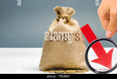 Sacco di denaro con le monete con la parola i costi e una freccia giù. Riduzione. Tagliare le spese. Il concetto di business e finanza. Gestione del denaro. Piano di budget Foto Stock