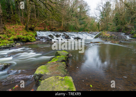 Il fiume Cusher fluente attraverso la Clare Glen, Tandragee, nella contea di Armagh, Irlanda del Nord in una fredda giornata autunnale. Foto Stock