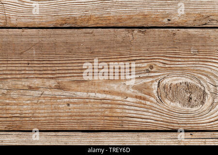 Ruvida parete in legno texture di sfondo, vicino la foto della parete incolore fatta di annodato listoni in legno di quercia Foto Stock