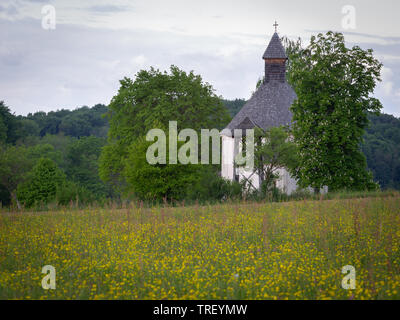 Più antica rotunda in Slovenia. San Nicola e Maria Vergine Chiesa dal XIII secolo. Vista della vecchia chiesa in campi di giallo, fiori di primavera. Selo, Mor Foto Stock