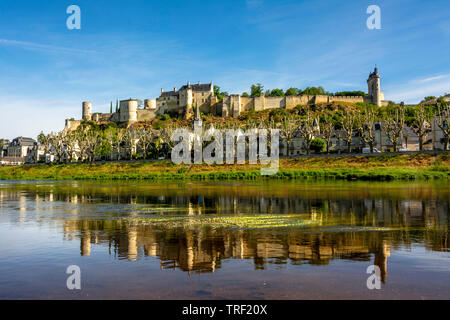 Il fiume Vienne e La Fortezza Reale di Chinon, Indre et Loire department, centro Val de Loire, Francia, Europa Foto Stock