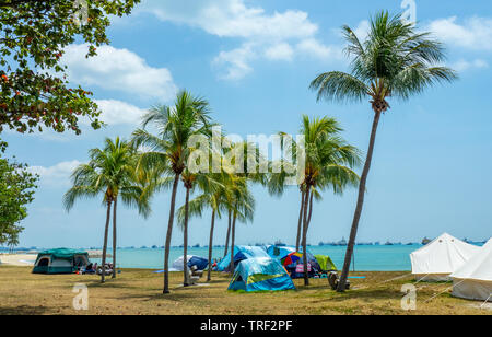 Tende tra palme da cocco lungo la East Coast Park campeggio Singapore. Foto Stock