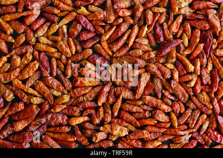 Essiccato bird's eye peperoncino piccante al buio su un tavolo di legno. Carta da parati, alta risoluzione Foto Stock