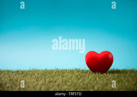 Cuore rosso su erba verde e blu cielo Foto Stock